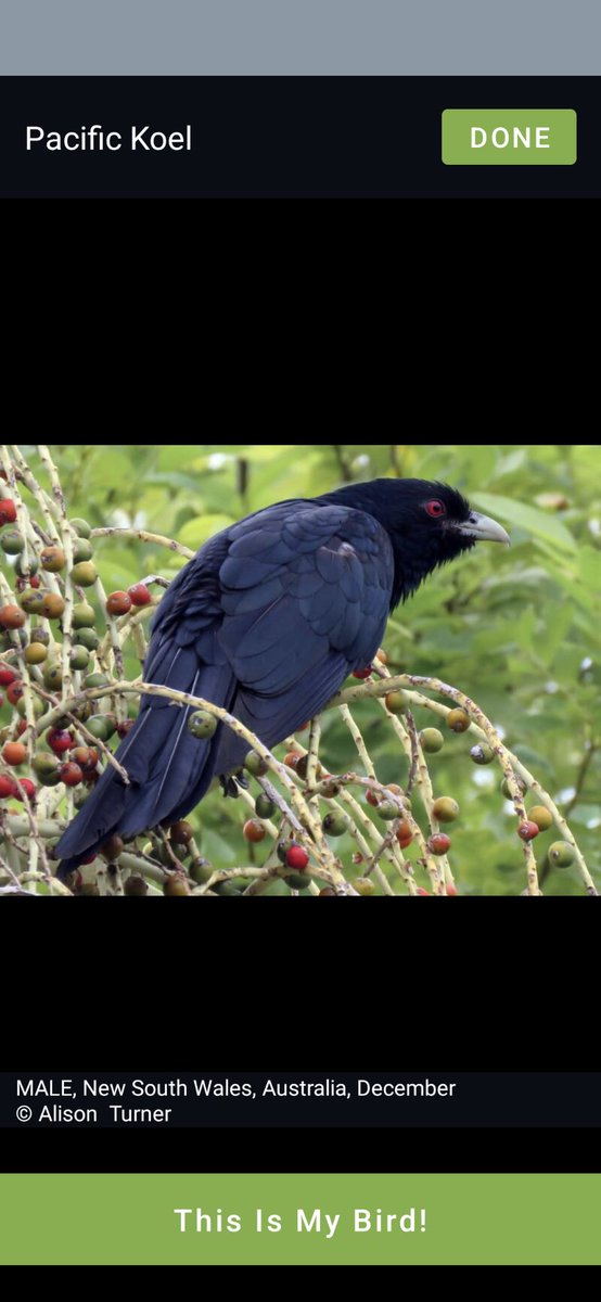 Andrew Coates tweet media