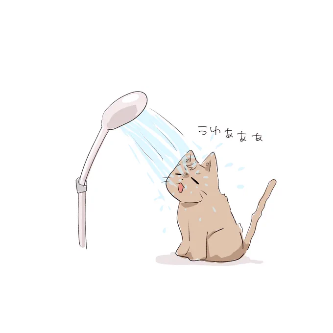ネコチャン… 