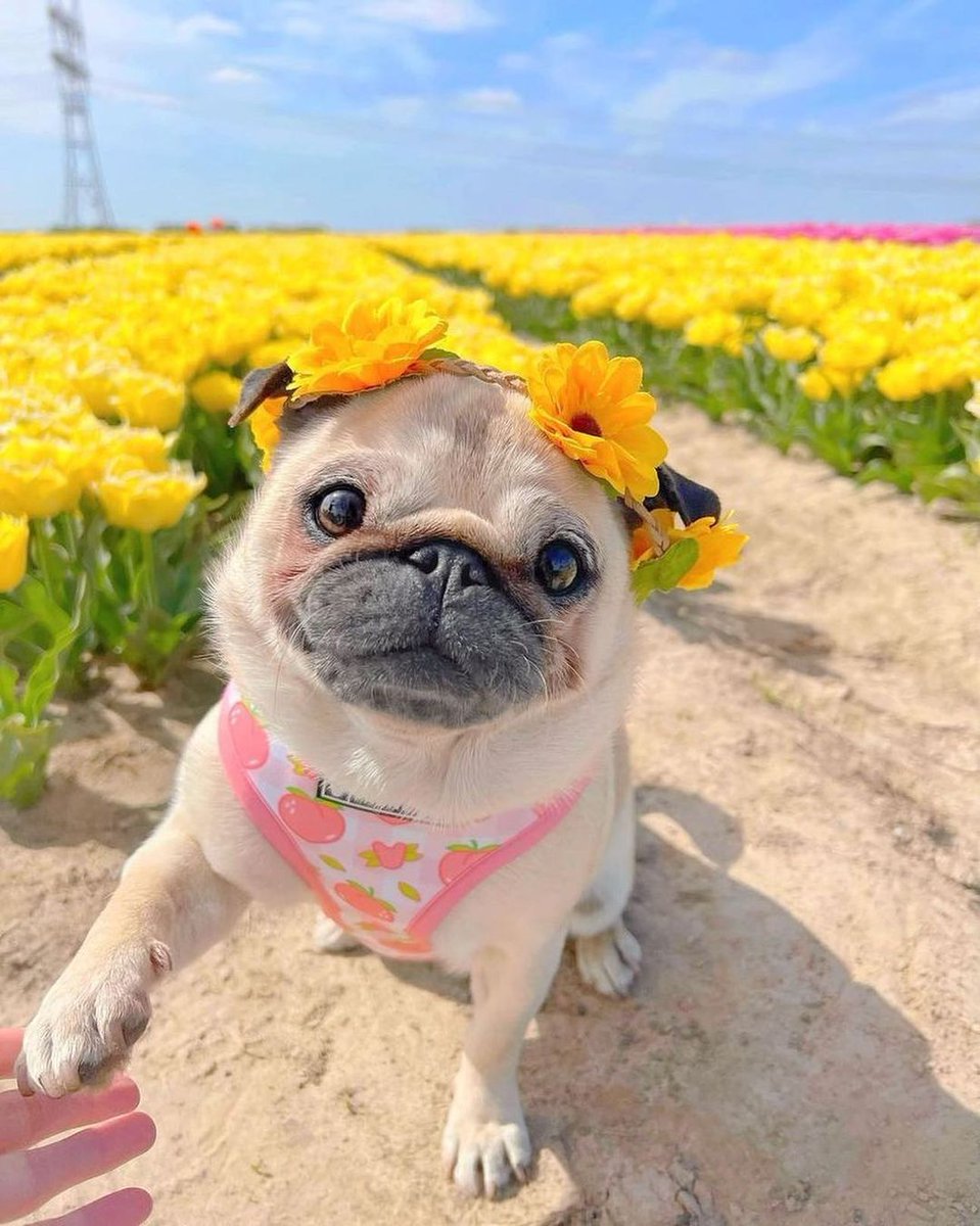 Cute or not??
