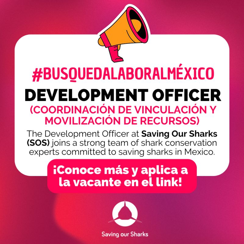 clubfundraising's tweet photo. 🔎 #BusquedaLaboralDestacada👇
Profesional en Recaudación de Fondos para unirse a un proyecto de conservación de tiburones en el Caribe Mexicano o de forma remota.
👇 Conoce más y aplica entrando en el link👇
https://t.co/h7IAK0xkGg https://t.co/JTAjcE9MXF
