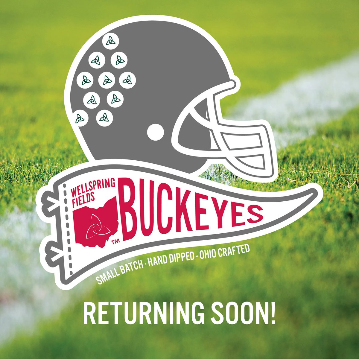 wllsprngflds's tweet photo. Stay tuned! Buckeyes are returning to a dispensary near you!!!

#oh_io #ohio #handcrafted #buckeyes #chocolate #wellspringfields #feelbetter #footballseason #fall #peanutbutter https://t.co/OQz9X3yFrL