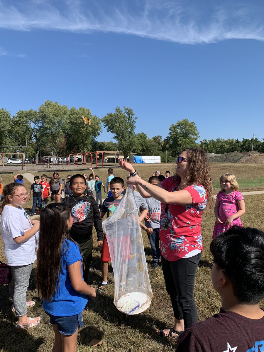 MrsVortherms3rd's tweet photo. Exciting day in our classroom! We got to release 14 monarchs to begin the long journey south for the winter. It’s always bitter sweet to see them go. @villeagles https://t.co/wrSG3lVgDg