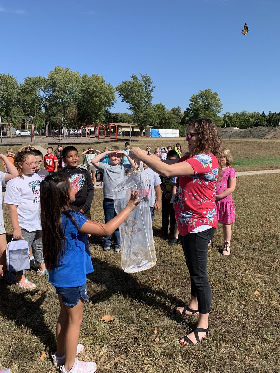 MrsVortherms3rd's tweet photo. Exciting day in our classroom! We got to release 14 monarchs to begin the long journey south for the winter. It’s always bitter sweet to see them go. @villeagles https://t.co/wrSG3lVgDg