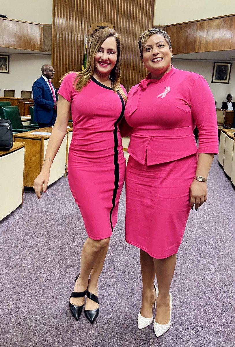 annmarievazja's tweet photo. 💞#BreastCancerMonth 🇯🇲
The Action Ann Foundation is pleased to be offering #freemammograms to our ladies in Portland 40 yrs & older for the 4th year!
The ladies will be taken to Kingston to do their mammograms, given a stipend & returned to Portland.
876 266 1111 to schedule💞 https://t.co/SLQ3QAYD39