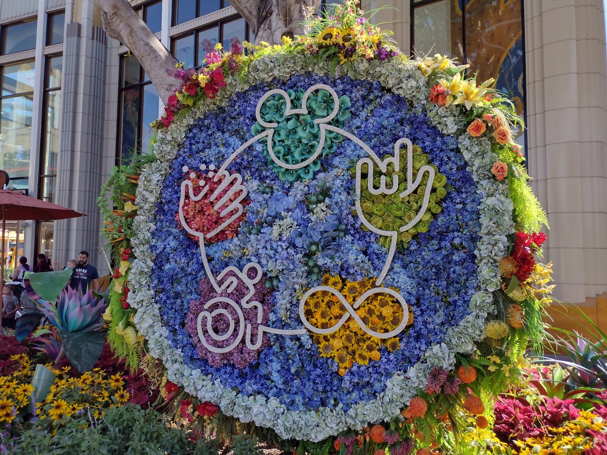 Jessica_D_Riley's tweet photo. Downtown Disney showcased Encanto-inspired silletas (Colombian floral displays) honoring their diverse employees. I LOVE this inclusion inspired ADA silleta; my Elliot stands w/ pride. #inclusion #fullyfundIDEA https://t.co/oACKskQ20v