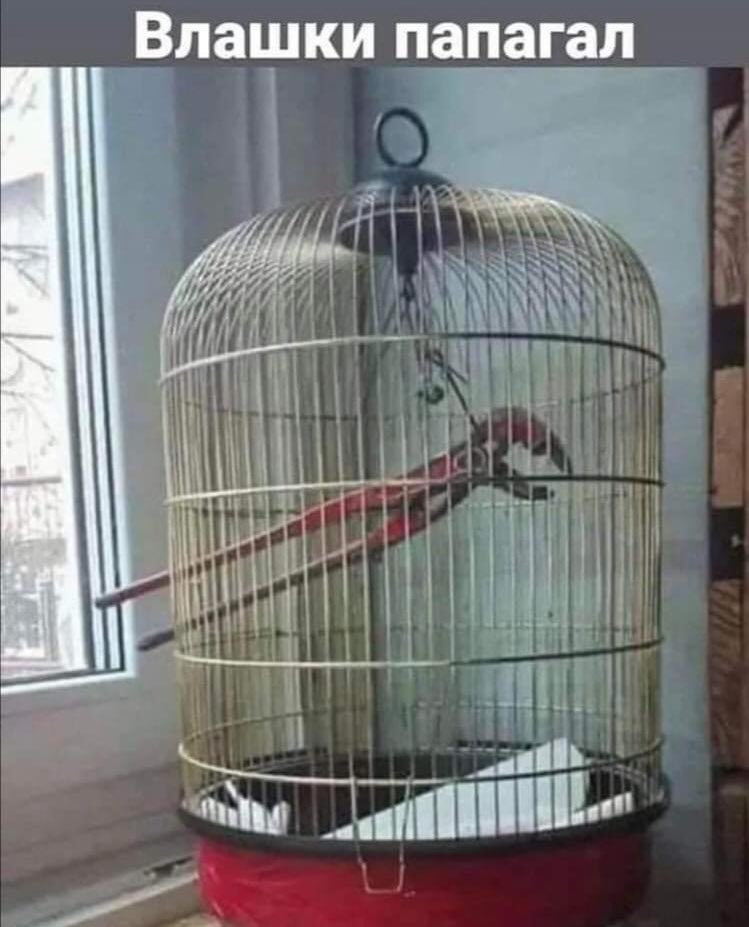 😂😂😂