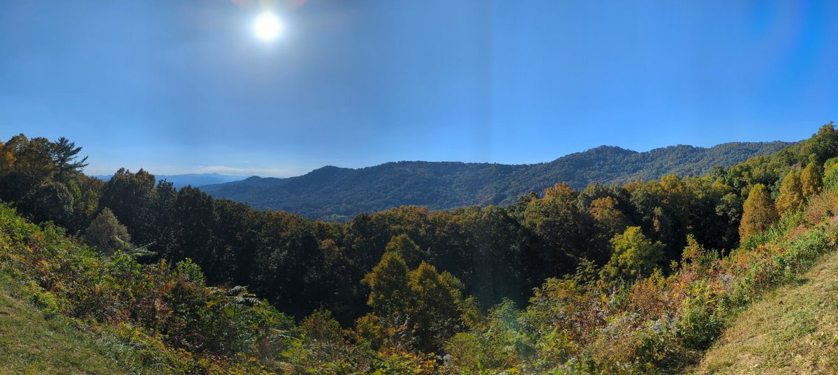 Tyler Gates tweet media