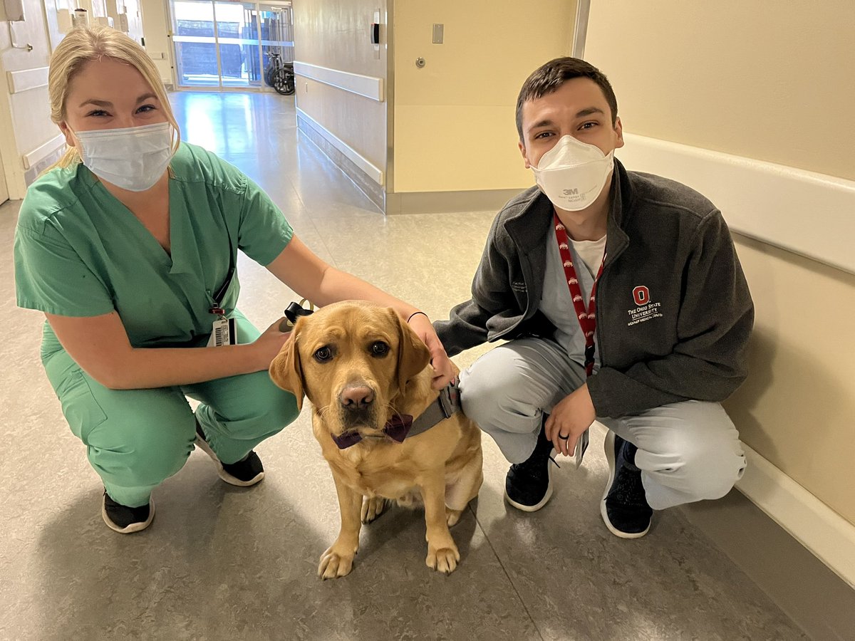 We love when our friends from #BuckeyePaws come to visit! Dr. Ellen Freeh (PGY-3) and Dr. Zach Smith (PGY-1) pose for a photo with Finn. #BuckeyeWellness #OSUWexMed #EMresidents #ResidencyLife