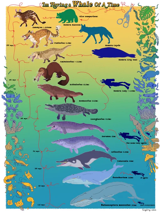 Whale Evolution Poster for da kids (featuring my mom's classroom door) 
