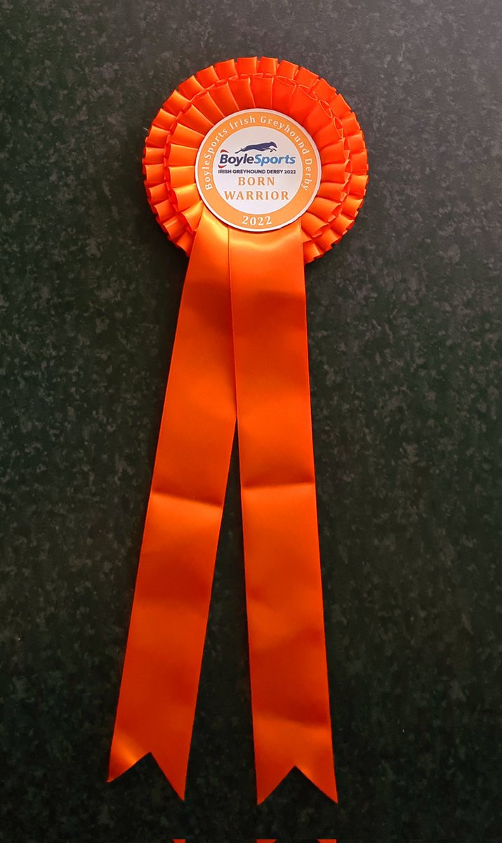 Missrae72's tweet photo. Thank you so much @DaveATBranch it's sitting proud amongst my most precious greyhound possessions.#BornWarrior #IrishDerby2022 https://t.co/U2E9JDRYYZ