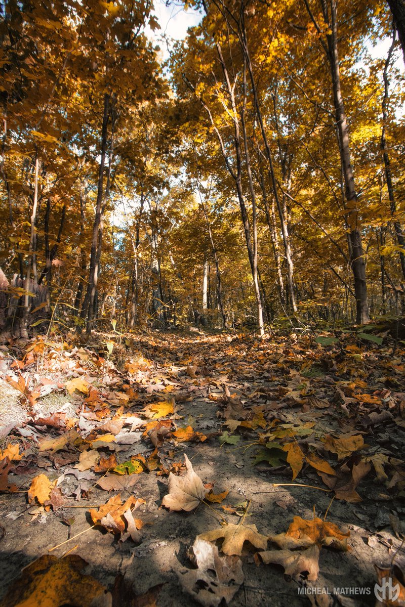 Fall is a beautiful time for all the natural areas in Berea! What is your favorite spot in Berea to see the leaves change?