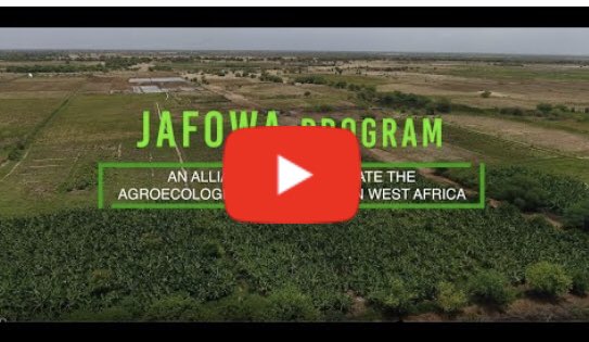 FriendsofFdF's tweet photo. The development of family farming in Western Africa represents a key element in the fight against hunger, unemployment, rural flight and pollution, not forgetting climate change. Glad to introduce this program at the Exponent Philanthropy conference in Minneapolis. https://t.co/467yc6yv4c
