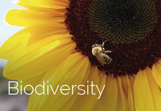 Sustain_USM's tweet image. Day 10 for #projectgreenchallenge reflects on the variety of life on Earth and issues dealing w ecosystems, ecological, &amp;amp; cultural processes that sustain life. Visit projectgreenchallenge.com! #sustainsouthernmiss #SMTTT #reduce #reuse #recycle #ecoeagles #campussustainabilitymonth