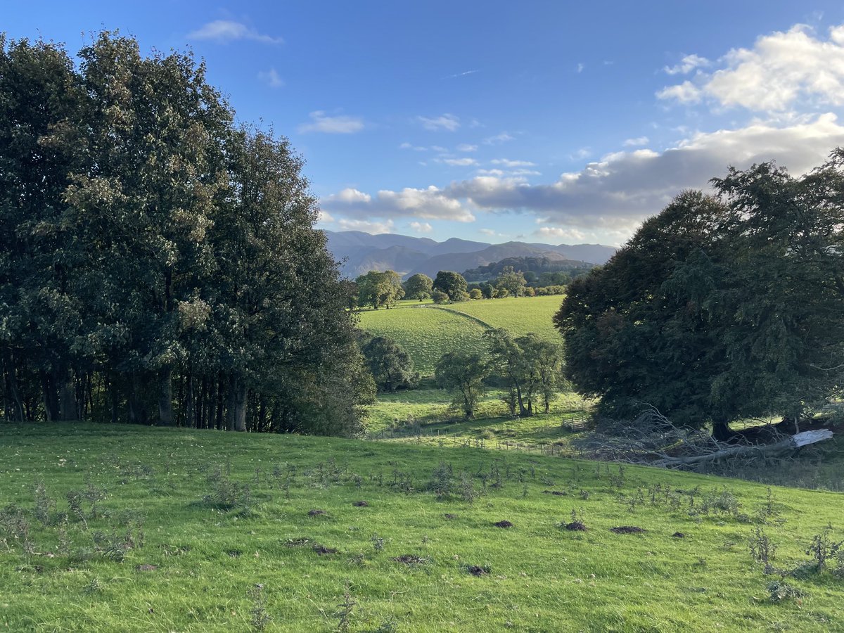 woundwitch63's tweet photo. Enjoyed an early evening walk after a day planning next years β¦@SoTV_UKβ© annual conference and educational events. A real autumn feel out there. Absolutely lovely #Watermillock #Lakedistrict https://t.co/yQJCDPtiwg