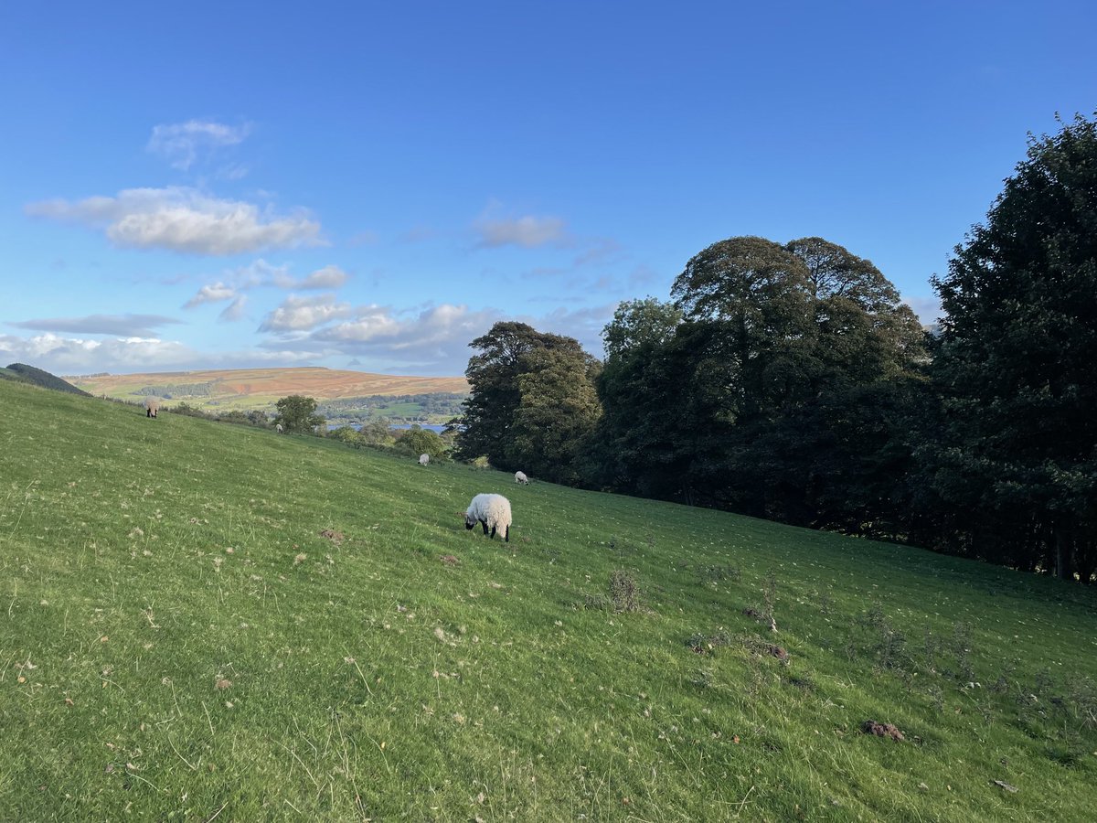 woundwitch63's tweet photo. Enjoyed an early evening walk after a day planning next years β¦@SoTV_UKβ© annual conference and educational events. A real autumn feel out there. Absolutely lovely #Watermillock #Lakedistrict https://t.co/yQJCDPtiwg