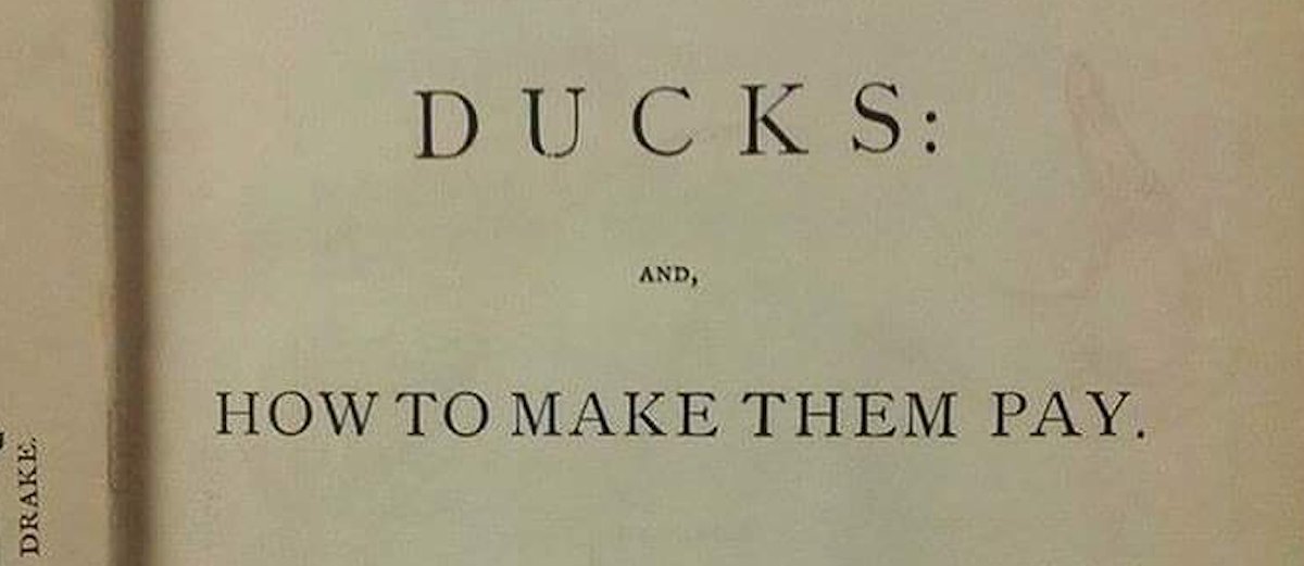 for what they did to type system