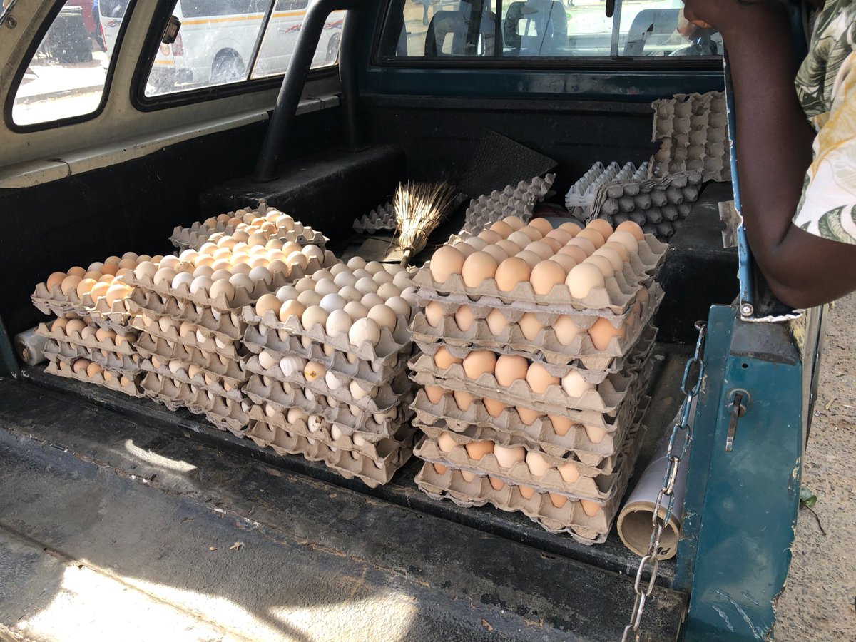 UrbanFOSC's tweet photo. With @FoodSecurity_za, @WCEDP, and @SAFoodlab for a #learningjourney of the Worcester Zwelethemba corridor to explore the movement of food. The informal food sector offers a crucial role for food accessibility in vulnerable neighbourhoods.  #Africanfoodsystems #FOSC https://t.co/Ye6SLpY3gV