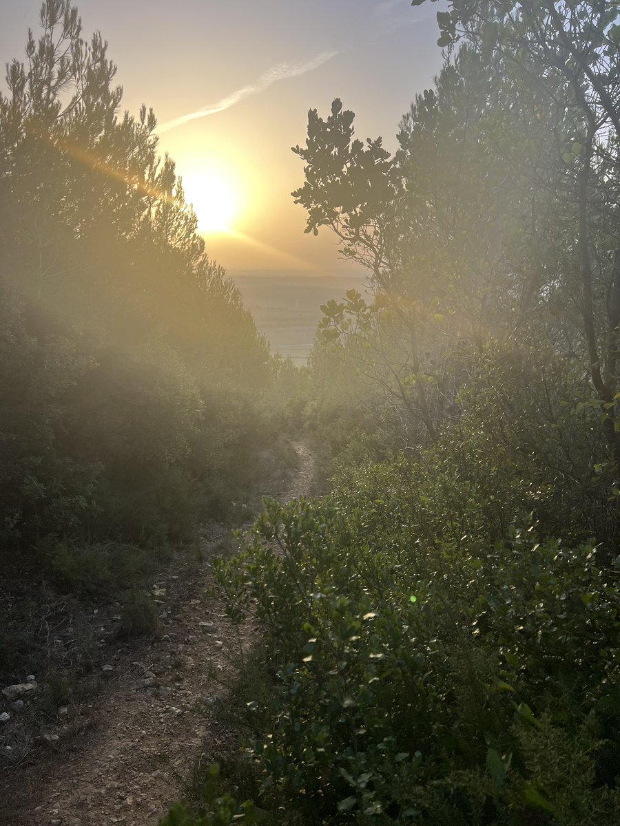 #trailrunning #beatyesterday