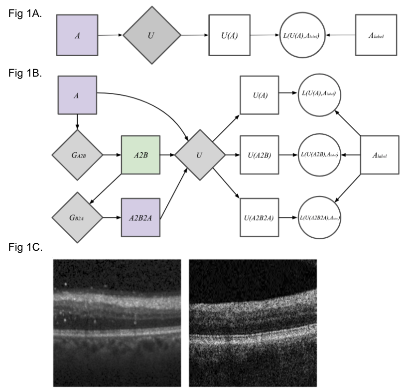 aaronylee's tweet photo. Excited to #opensource our work under #BSD on being able to train #deeplearning models to work on multiple devices without human annotations! Links to the GitHub repo and the @AAOjournal article.  https://t.co/e8RXo0IwdX https://t.co/sdJ0UxFc67 https://t.co/THVibgTTWf