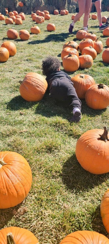 ee_deb's tweet photo. What a fun time we had in #Silverthorne this Sunday! It's amazing how independent my Seb is becoming 😍 #PumpkinFest #MyBaby #MomLife https://t.co/1bzGaFAoM3
