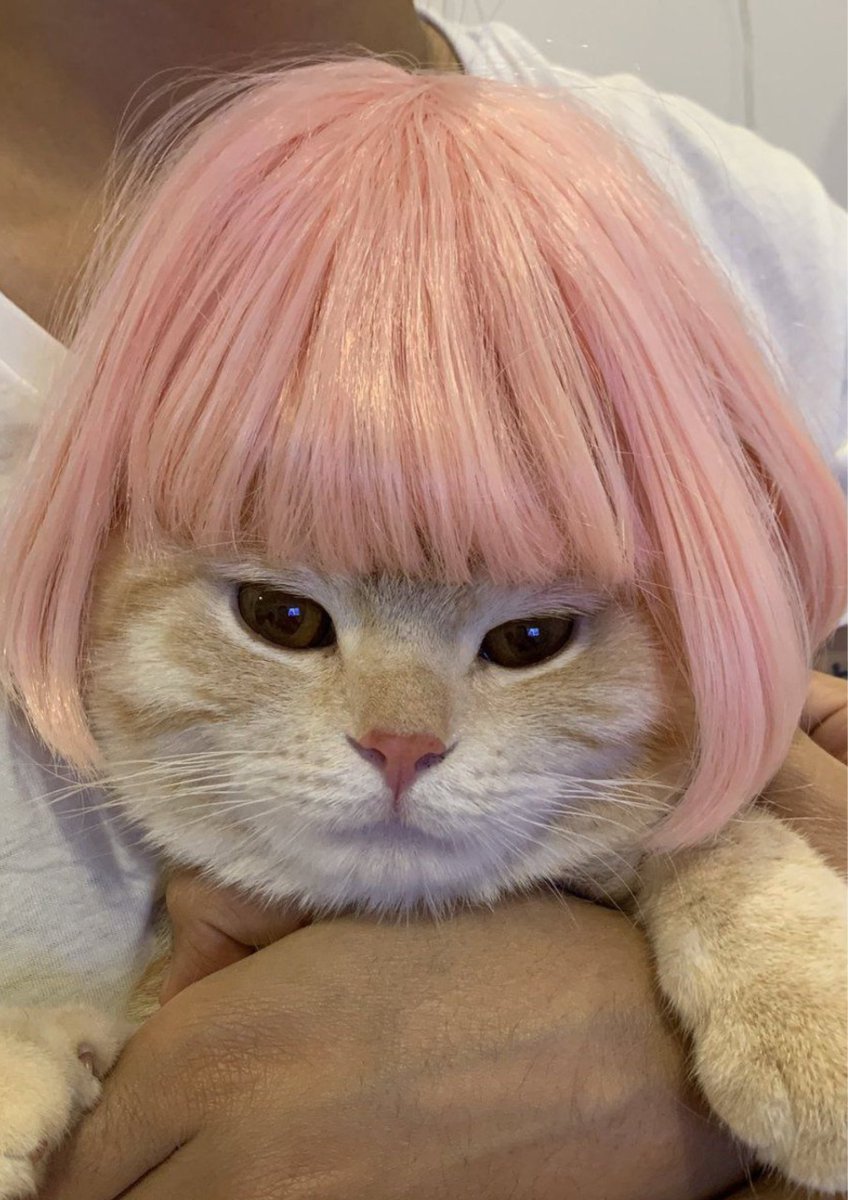 studfx's tweet image. -*,_today's study... 📚✨️ #studytwt #studytwtbr 

... começando com pouca coisa pra ir me acostumando devagar*-_'💫