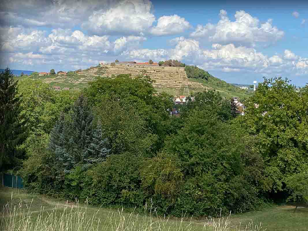 archaeoTravelde's tweet photo. Wart ihr schon mal beim Grabhügel des Keltenfürsten von Hochdorf und habt dort den Ausblick genossen?👍
Noch atemberaubender ist der Ausblick vom Grabhügel des Kleinaspergle z. B. auf den Hohenasperg.😊
» Mehr erfahren👉 https://t.co/VmdYCtyRIg
#kleinaspergle #kelten #tollertag https://t.co/wy0t99ZBDb
