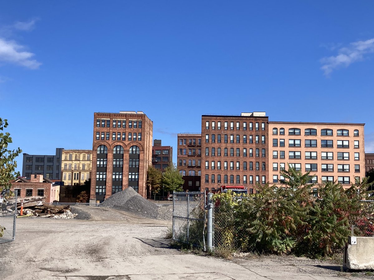 Zoë Meletis tweet media