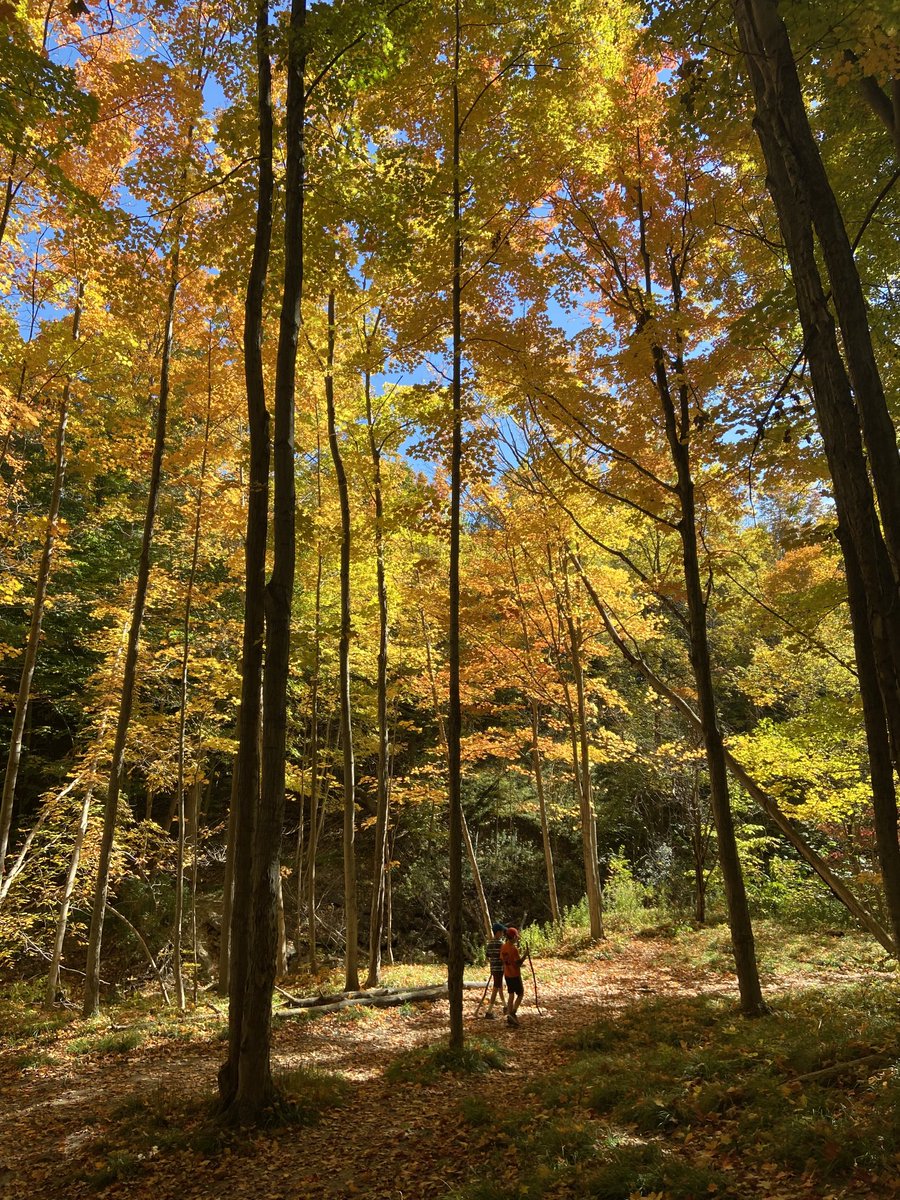 Thankful for extra time with family on this gorgeous fall weekend! #MedwayForest #UrbanTrails
