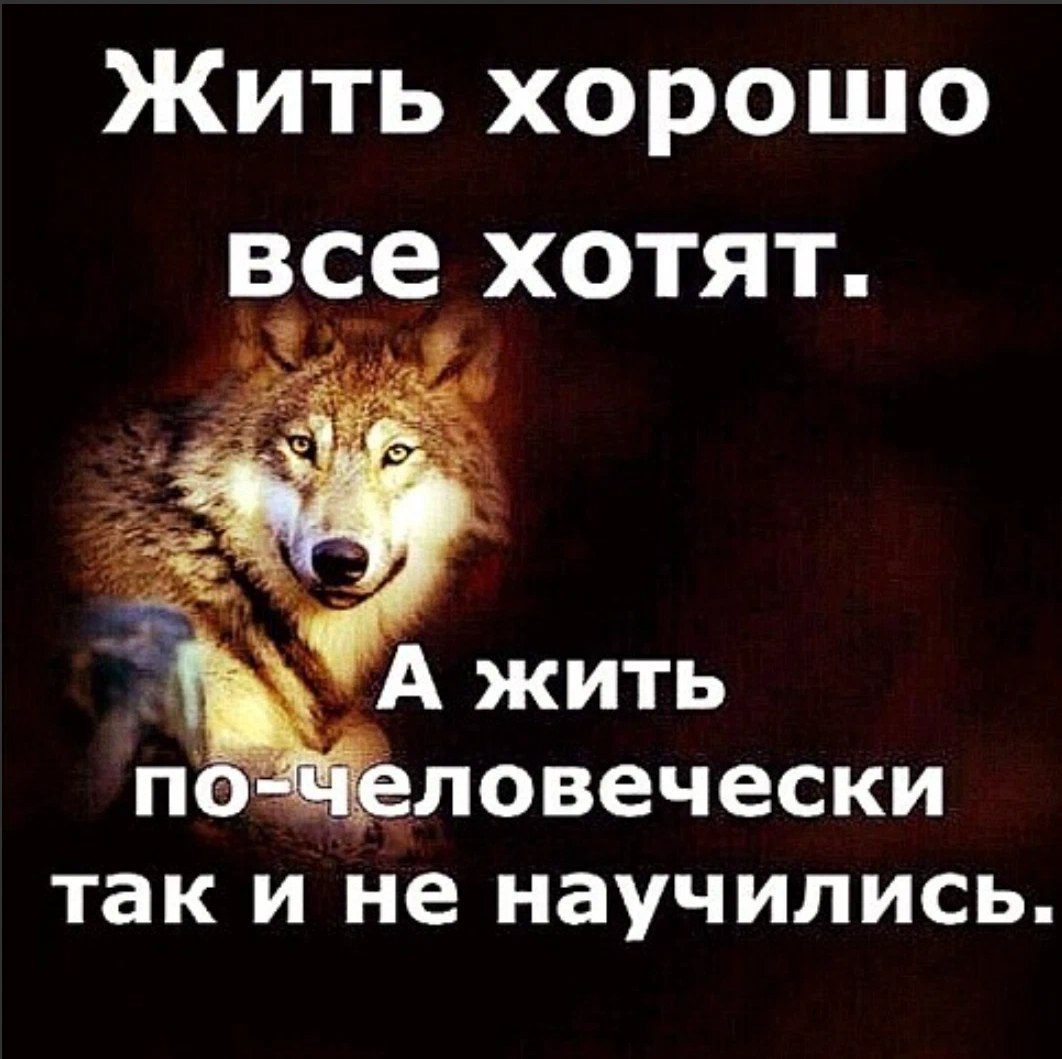 LOVE РОССИЯ (@chaika35) on Twitter photo 