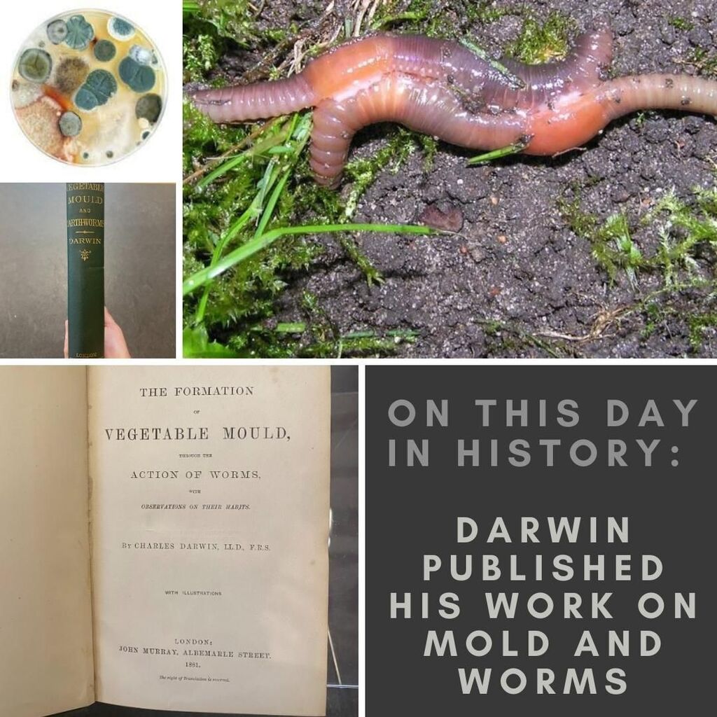 On this day in 1881, Charles Darwin published his work on mold and worms! Pictured is a first edition copy of Darwin's "The Formation of Vegetable Mould: Through the Action of Worms, with Observations on Their Habits" held by Lehigh Special Collections. … instagr.am/p/Cji_BDKA7sv/