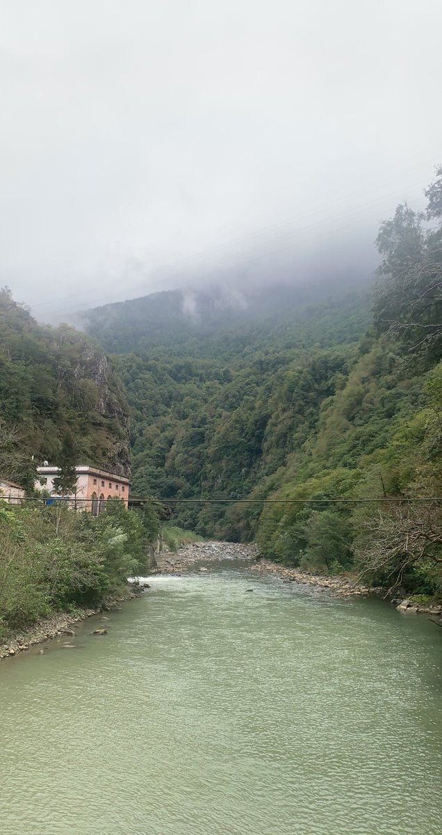 بنـدر الروقـي. tweet media