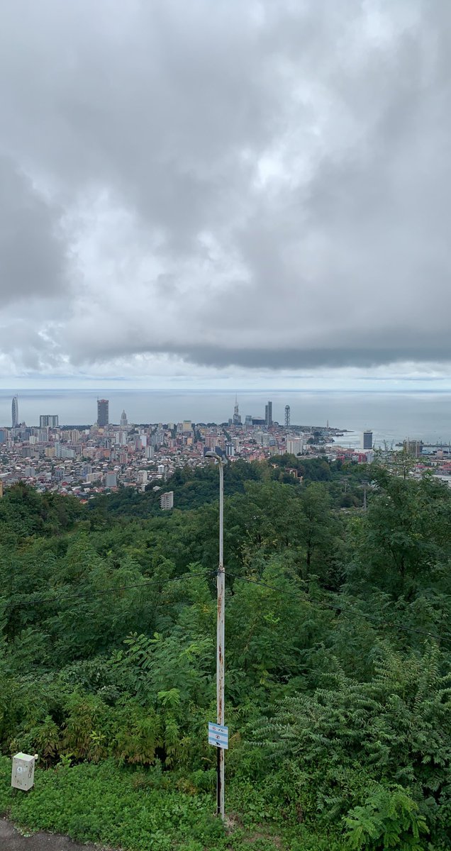 بنـدر الروقـي. tweet media