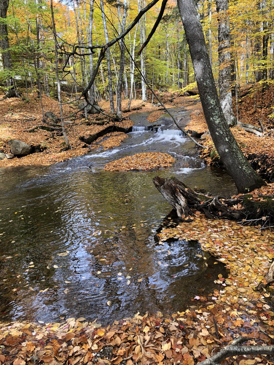 Francis Bilodeau tweet media
