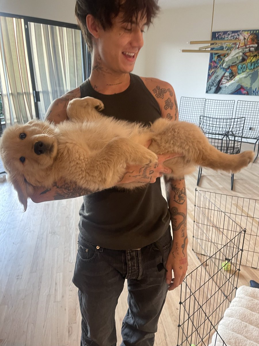 ImJustAStray's tweet image. missing them hours 😞