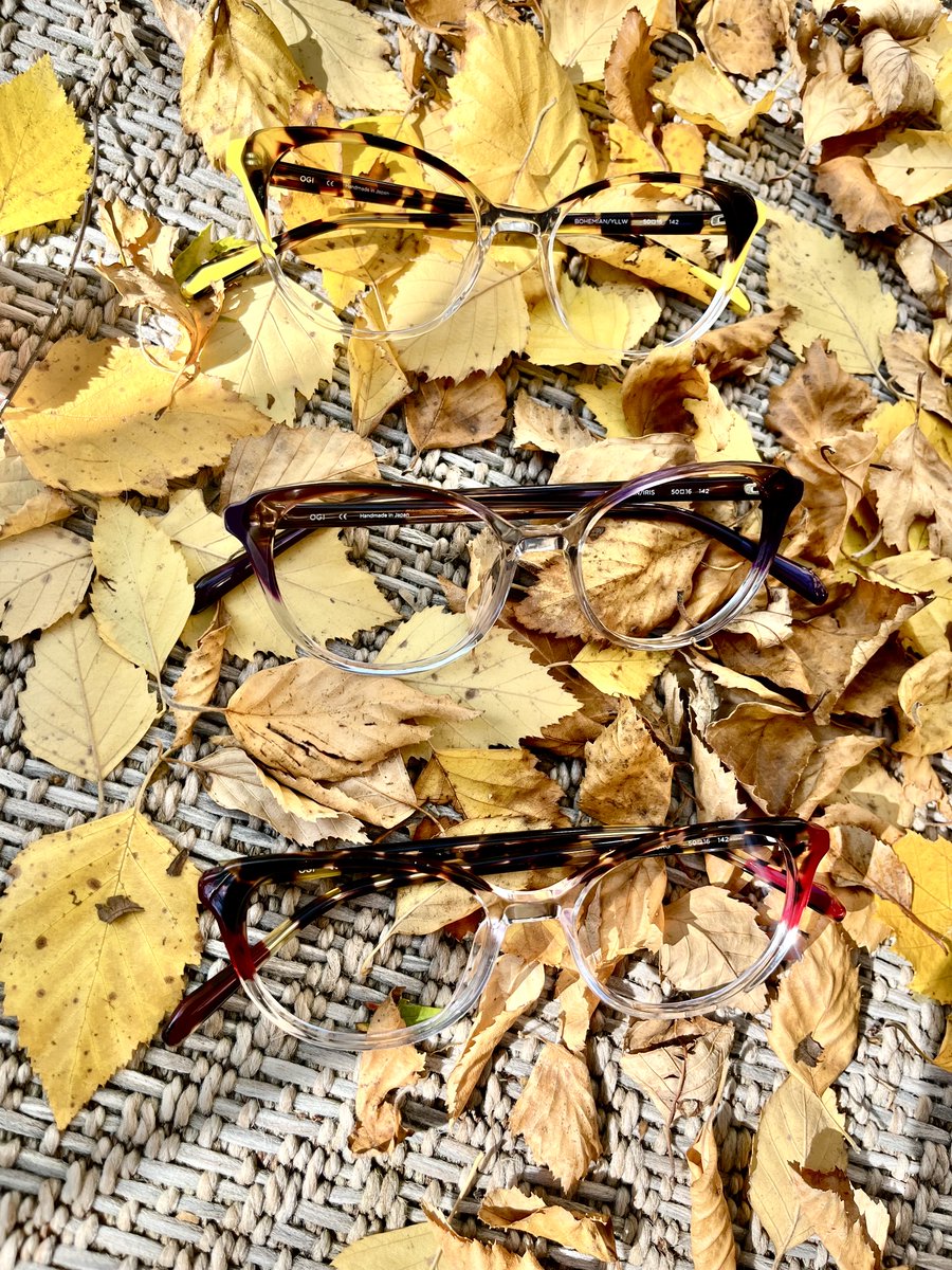 ogieyewear tweet media
