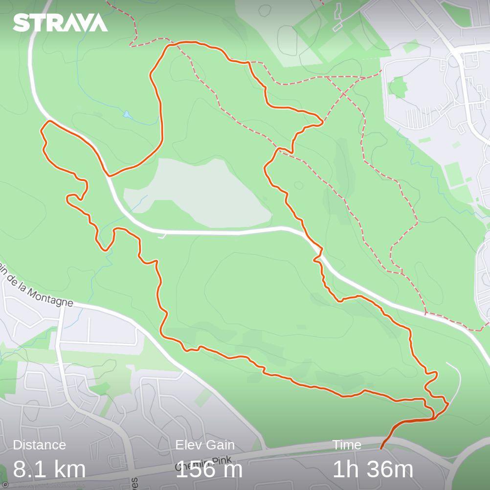 yannick_b's tweet photo. Short, fun, technical hike on some less trafficked trails in the #gatineaupark. 

Felt good to stretch out the calves after yesterday’s distance. 

#trails 
#ottawa
#hike

https://t.co/pjnmNoyUAo https://t.co/LnMZ6VPBUH