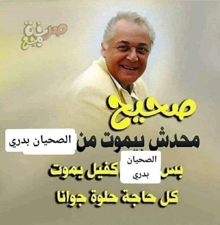 بجد