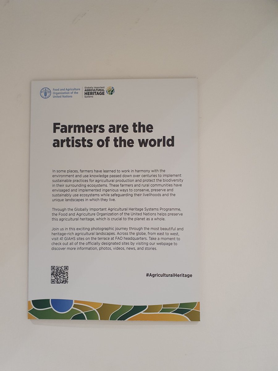 NuffieldIreland's tweet photo. .@NuffieldIreland + @NuffieldFrance Teams are in Rome this wk for @UNFAO #CFS50 with some of our @NuffieldInt fellows Scholars from Brazil. @joesph_leonard @patcoll11890093 @aoife_f @DaithiD06 @catherinemilk Ana C Zimmerman. On agenda gender, youth and data in ag, among others. https://t.co/oWo8CaE2CQ