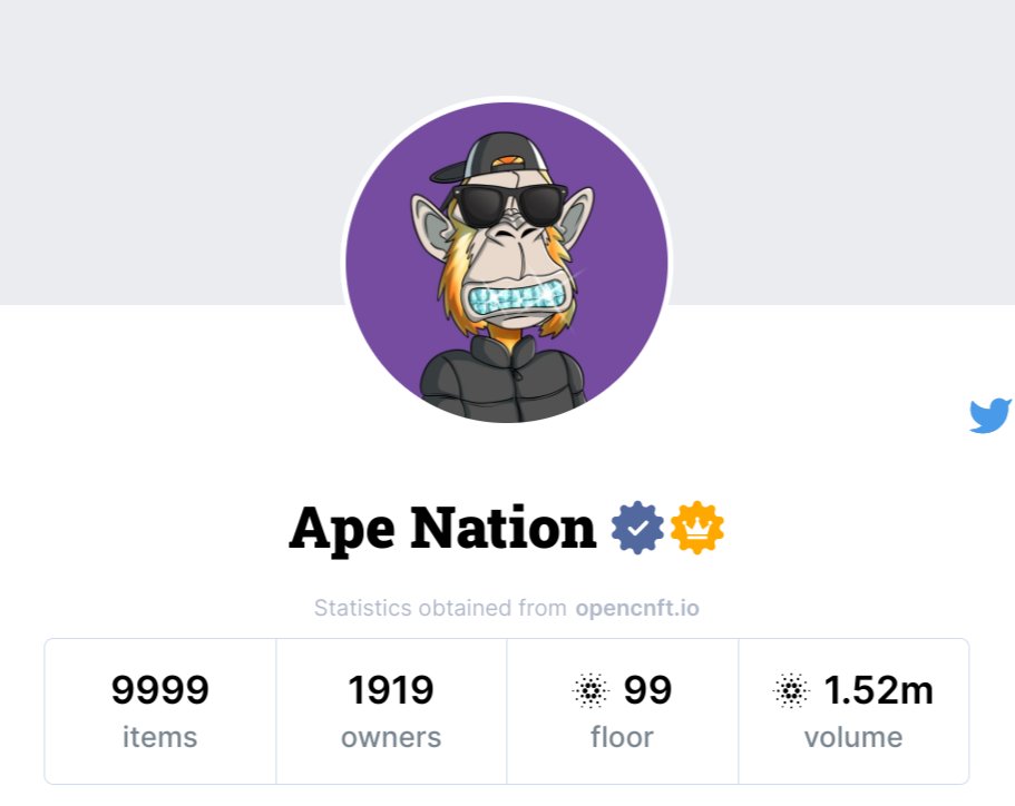 Ape Nation tweet media
