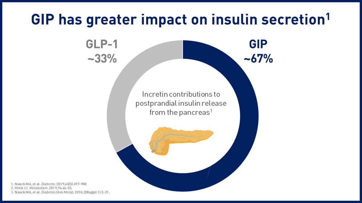 LillyMedical's tweet photo. #DYK: In healthy humans, the incretin effect is responsible for up to 70% of postprandial insulin. Both GIP and GLP-1 drive the incretin effect; however, GIP is responsible for ~67% of the total effect in healthy humans. #medtwitter

Learn more here: https://t.co/NBWml8H13R https://t.co/i6qLMOnu6a
