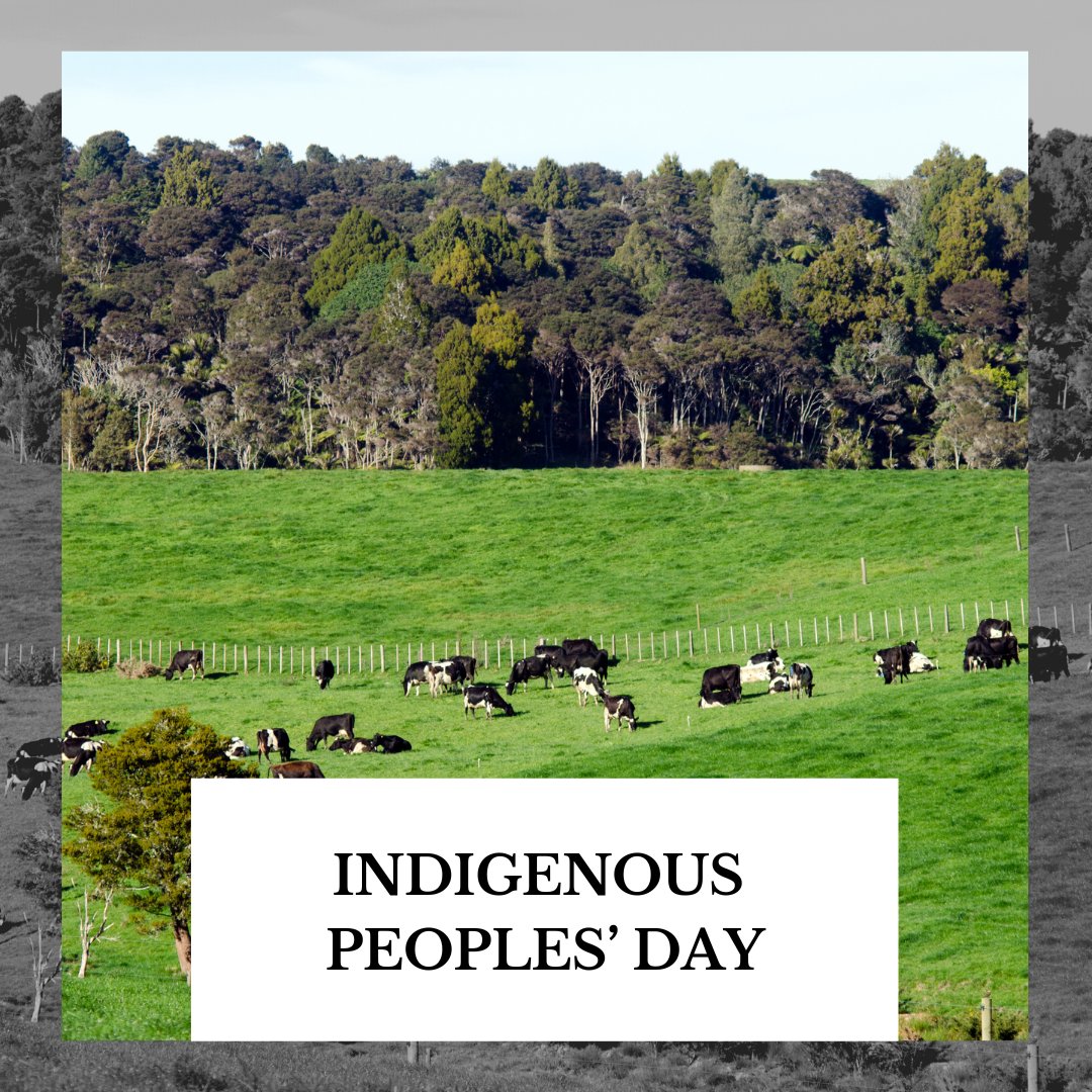 Cheese Society tweet media