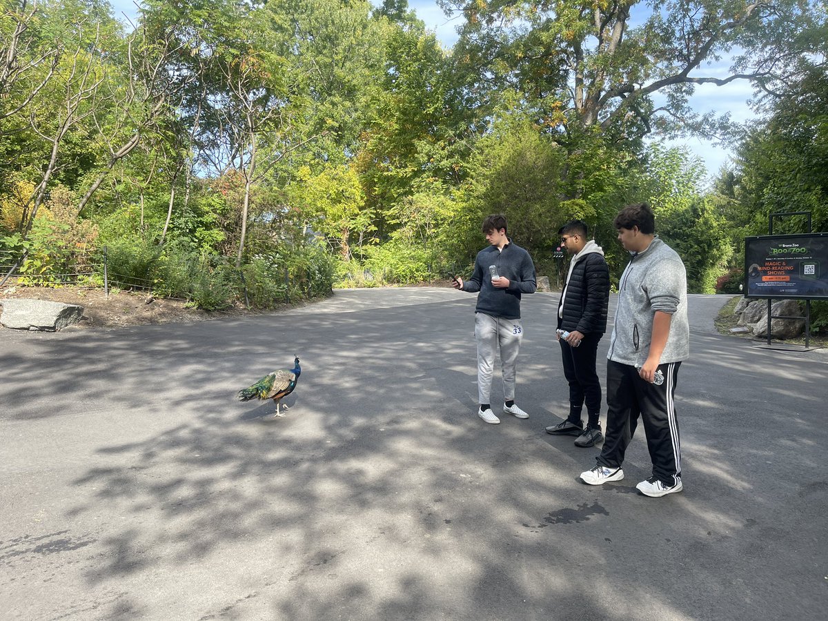 cchatham5's tweet photo. Day 4 of Senior NYC Trip!  A visit to the beautiful Bronx Zoo and then headed back to Hopedale! @hopedalejshs @kcrebasehps @DerekAtherton1 @HopedaleAP https://t.co/FtZMrnp8pn