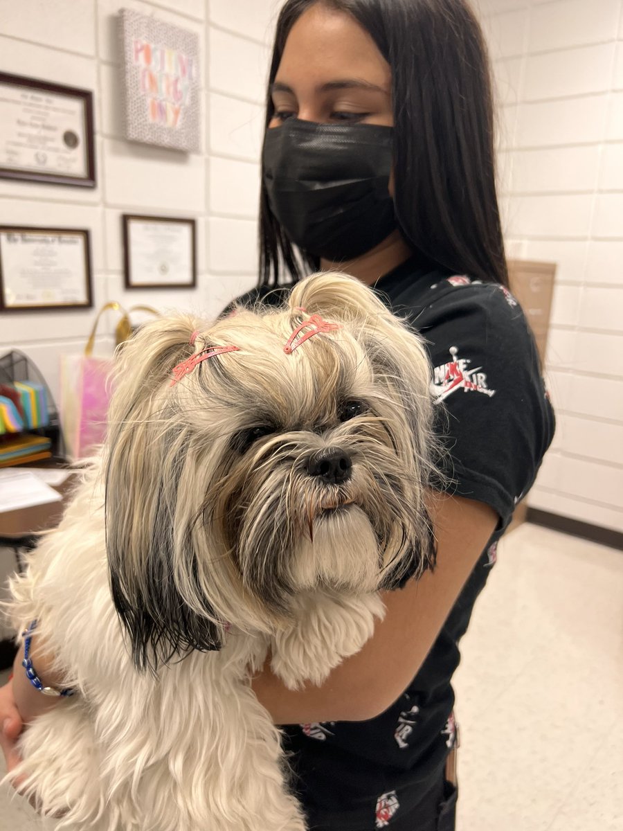 HMS_Couns's tweet photo. Such a great day filled with surprises at @HambrickMS_AISD! Surprise #1, @vecedottie &amp; Stormy 🐶 “Quiet the Storm” brought several goodies for the counselors &amp; visited with students! @Counseling_AISD We appreciate all the love!! https://t.co/8z0gO7FhqY