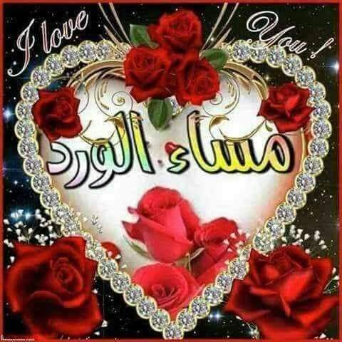mmdbdhlsyd1's tweet photo. @nogah015 مساء الورد والياسمين مساء معطر باجمل الزهور https://t.co/LqMi8zPuRo
