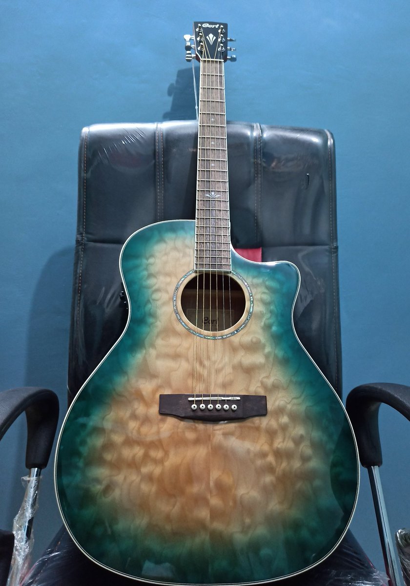 imAnniiSurve907's tweet photo. New Baby in the House!🎸❤️ My Guitar !!!
Ye Toffa humne khud ko diya hai ✨
And the journey begins here ....
#Selfgifted #gift #guitars https://t.co/RQ72tSn2W2