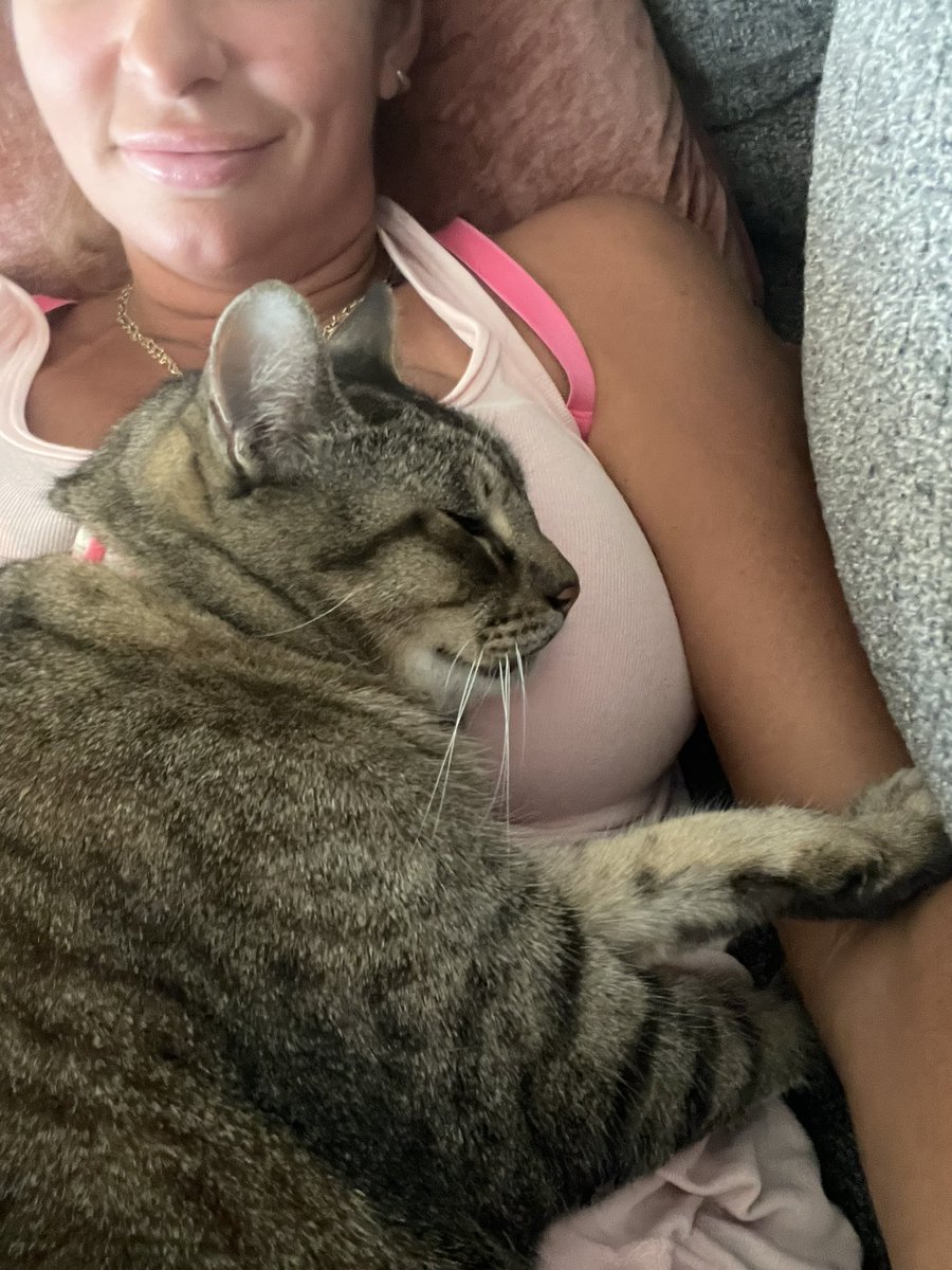 ambercampisi's tweet photo. Back home with this cuddle 🐱 #devilkitty #catmom #roguebunnies https://t.co/e4uyZdaOYC