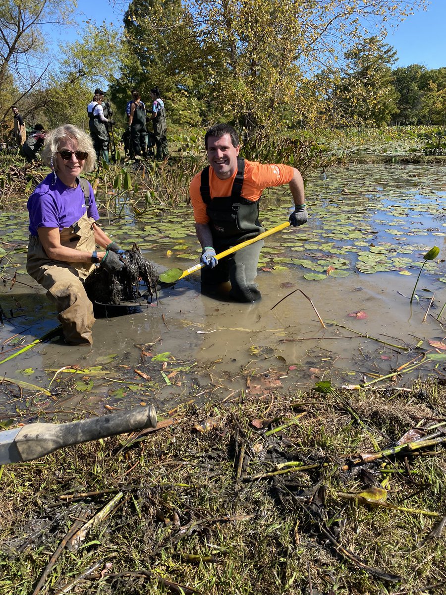 Super satisfying #AccentureDayofService project digging out invasive plants at Kenilworth Aquatics Gardens. One of 120 projects with 2,000+ <a href="/Accenture/">Accenture</a> volunteers. #makingadifference