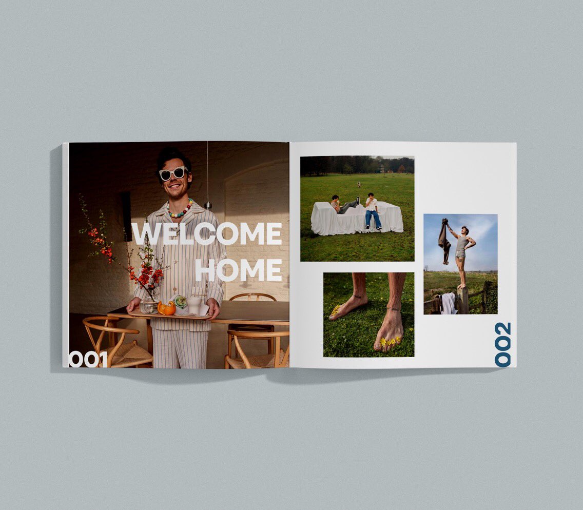 copyesny's tweet photo. harry's house, limited edition book design (made by me) 🫧 https://t.co/7j42kO24h8