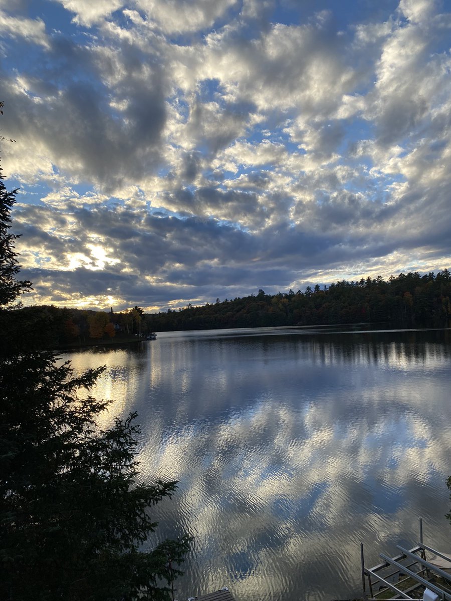 Evan Cooper- MSO D25 OSSTF TBU 2019-2027 tweet media