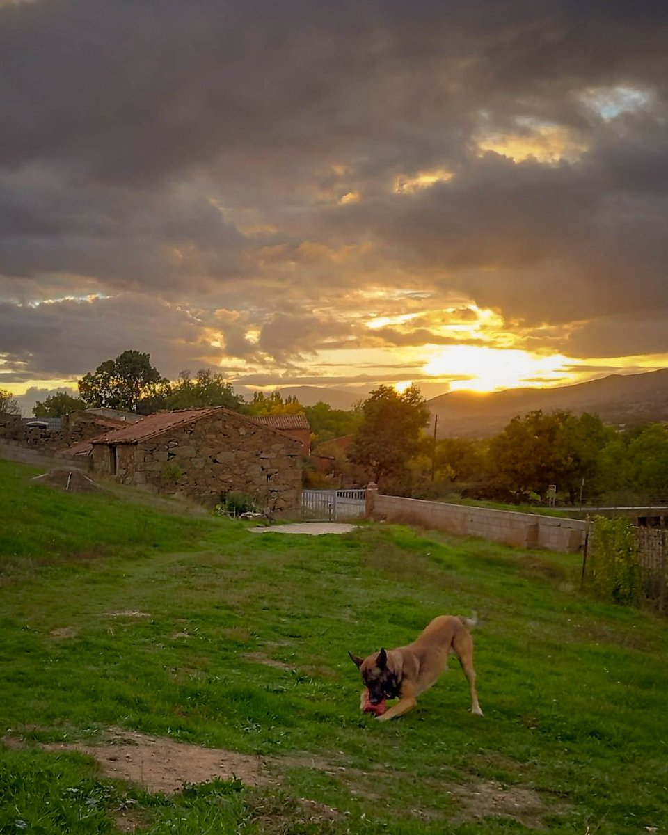CasaChaluca's tweet photo. Precioso atardecer hoy en La Aldehuela. Reserva @CasaChaluca en: https://t.co/SFweJSiXcQ https://t.co/PPI3rvWv6W o casachaluca@gmail.com #relax #alojamientorural #casarural #turismorural #escapadarural #TurismoconPerros #DogFriendly #CasaChaluca https://t.co/IRicvcFITg
